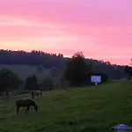 Traumblick