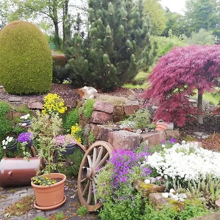 Traumblick * Oberzent